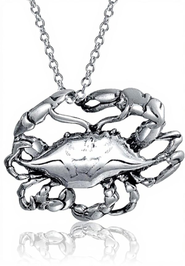 Collier pendentif zodiaque argent sterling Bling Jewelry