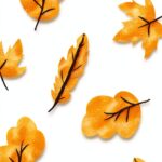 Livre Anglais Independently published 120 pages 2022-0