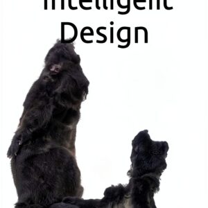 Independently published Livre Anglais 83 pages 2023-0